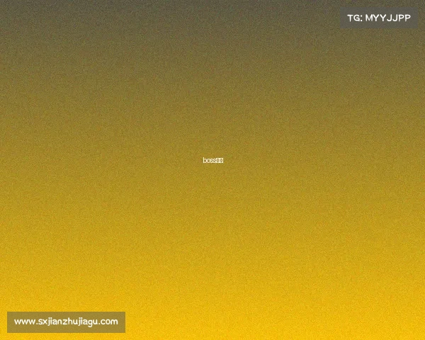 boss竞赛 boss竞赛