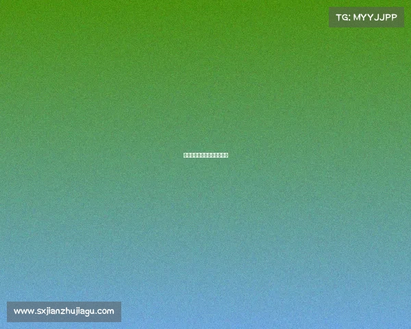 亚运会电竞比赛中国夺冠队伍